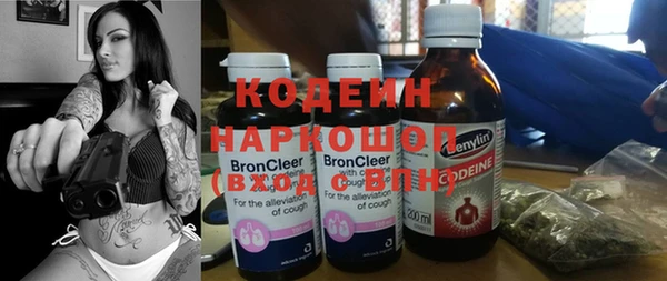 дживик Богородицк