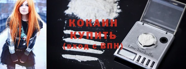 дживик Богородицк