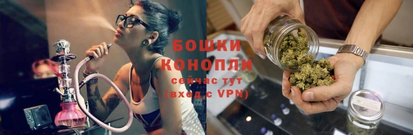 дживик Богородицк