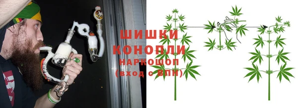 дживик Богородицк