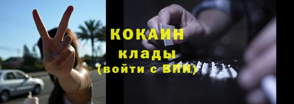 тгк Богданович