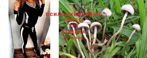 тгк Богданович