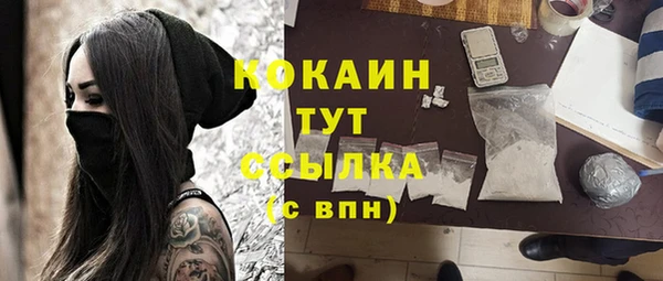 тгк Богданович