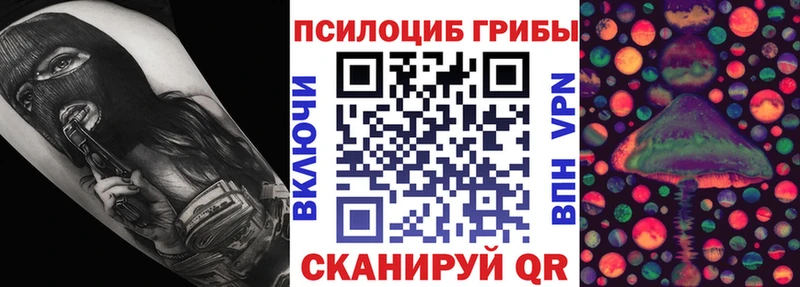 Псилоцибиновые грибы GOLDEN TEACHER  hydra зеркало  Нелидово  купить  сайты 